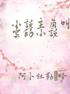 小说主角叫林青云的小说