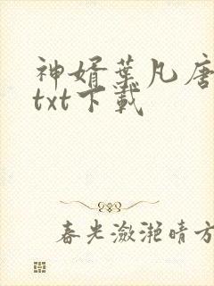 神婿叶凡唐若雪txt下载