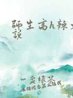 师生高h辣文小说