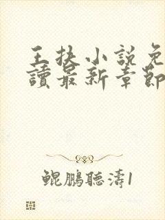 王扶小说免费阅读最新章节无弹窗