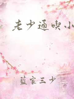 老少通吃小说