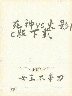 死神vs火影pc版下载