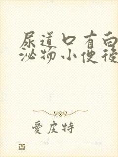 尿道口有白色分泌物小便后有刺痛感