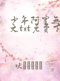 少年阿宾无删全文txt免费下载