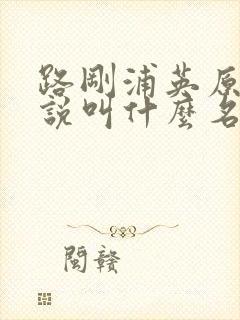 路刚浦英原著小说叫什么名字