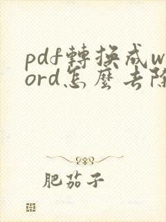 pdf转换成word怎么去除水印
