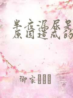 半夜漏尿是什么原因造成的