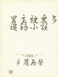 男主被众多女主追的小说