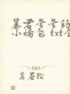 暴君爹爹的团宠小娇包 txt全本