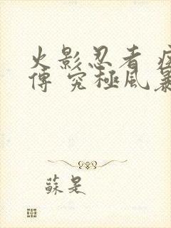 火影忍者 疾风传 究极风暴2下载