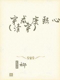 穿成康熙心尖宠(清穿)