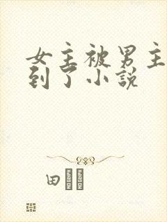 女主被男主们找到了小说