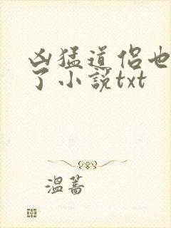 凶猛道侣也重生了小说txt