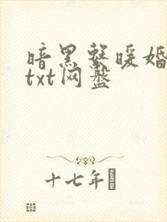 暗黑系暖婚全文txt网盘