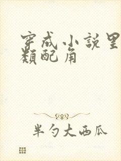 穿成小说里的各类配角