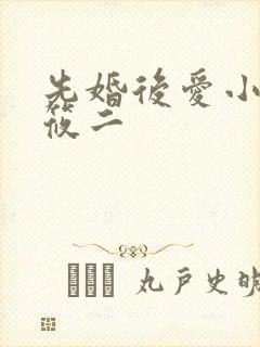 先婚后爱小说梦筱二