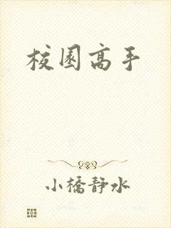 校园高手