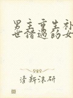 男主重生补偿前世错过的女主