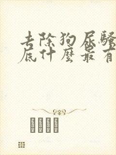 去除狗尿骚味到底什么最有效