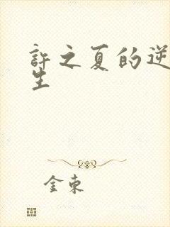 许之夏的逆袭人生