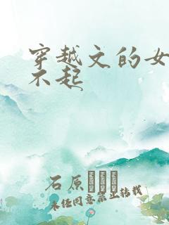 穿越文的女主伤不起