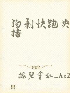 狗剩快跑央八首播