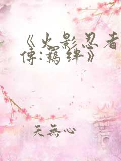 《火影忍者疾风传:羁绊》