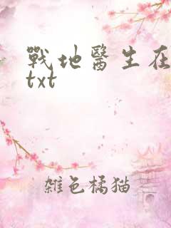 战地医生在都市txt