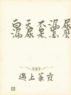 白天不漏尿晚上漏尿是怎么回事