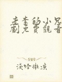 老李的小兄弟短剧免费观看全集