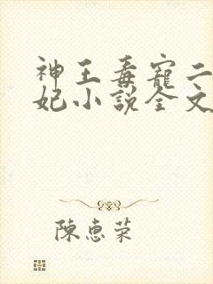 神王毒宠二嫁王妃小说全文免费