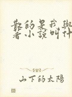 散的是我与爱原著小说叫什么名字