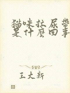 猫咪拉尿带点血是什么回事