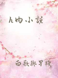 h肉小说