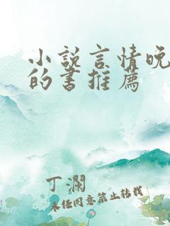 小说言情晚上看的书推荐