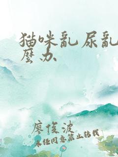 猫咪乱尿乱拉怎么办