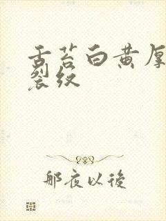 舌苔白黄厚腻有裂纹