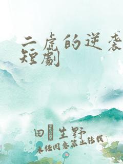 二虎的逆袭人生短剧