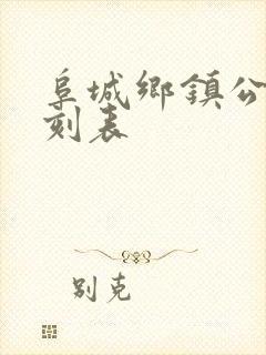 阜城乡镇公交时刻表