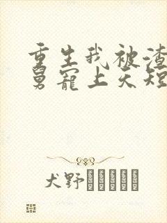 重生我被渣男舅舅宠上天短剧