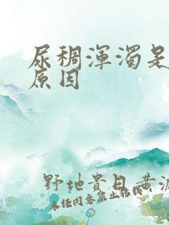 尿稠浑浊是什么原因