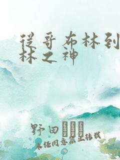 从哥布林到哥布林之神