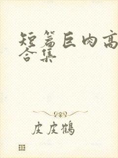 短篇巨肉高h强合集