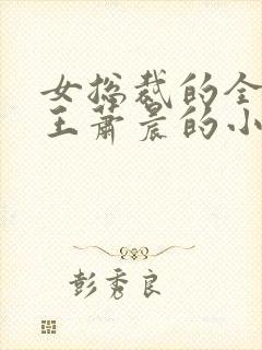 女总裁的全能兵王萧晨的小说