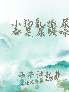 小狗乱撒尿房里都是尿骚味怎么办