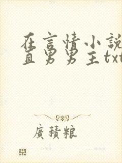 在言情小说里撩直男男主txt