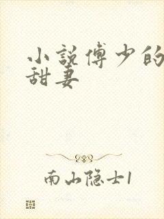 小说傅少的隐婚甜妻