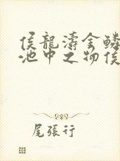 侯龙涛金鳞岂是池中之物侯龙涛与何莉萍