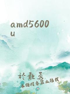 amd5600u