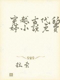 穿越古代的江婉婷小说免费阅读